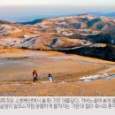 진태목장 이미지