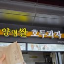 태백산맥휴게소 | 온통 초록빛이였던 강원도 정선여행 Day 1: 병방치스카이워크,메이힐스 리조트