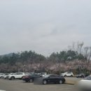 이디야광양체육관점
