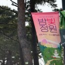 청개구리 | 수원 일월수목원 아이랑 가볼 만한 곳 | 체험 후기