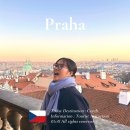 관저성 | 체코 프라하성 가는법 투어 코스 야경 스타벅스 포토존