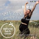 아르봄헤어