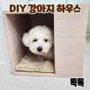 안녕, 내강아지 | DIY강아지 하우스 만들기 독톡 강아지하우스 이용 후기
