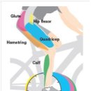 패달링(Pedaling) 이미지