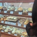 천하명가 | 어글리베이커리, 천하제빵 맛집 구황작물끝판왕, 감동의 뽀또맘모스 후기