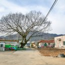 평화제일@경로당 이미지