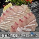 대장 | 부천 얼큰한 매운탕과 싱싱한 회 맛집_속초어대장 후기