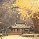 동원앵글，사다리