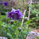 승희농장 이미지