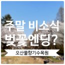 아이플러스 태권도(오산점) | 이번주말 벚꽃 실종? 토요일 비소식 일요일에 오산물향기수목원 방문 괜찮을까?