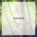 선물같은시간 이미지