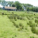 풍차마을 이미지