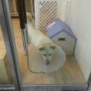 북악동물병원 이미지