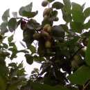 병현농장 이미지