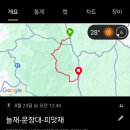 늘재