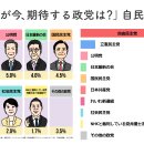 일본의 젊은 세대들이 보수정당을 지지하는 이유 이미지