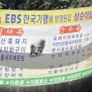 상순이 쉼터 이미지