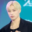 하모니 티스토리
