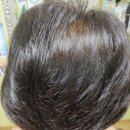 친환경엘샤론머리염색
