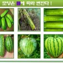 에띠임1 | 에띠임 체형보정속옷 올인원 잘입는 방법