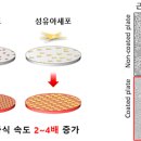 엘엠케이