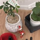 고산역 4번 출구 뒤 이미지