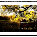 온누리건강한약국 이미지