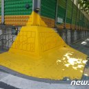 옐로카펫 이미지