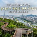 봉등산농장 | 도심 속 초록빛 쉼터, 동대문구 배봉산(拜峰山)의 숨겨진 이야기와 초보자 맞춤 등산 코스 총정리!