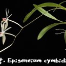 제네농장 이미지