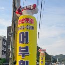 몽돌리조트 이미지