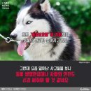 우리집 이미지