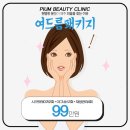 아그네스