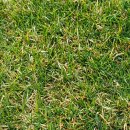 현대드림파크 이미지