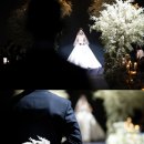 @CLICK | [본식스냅] 보타닉파크웨딩 촬영 후기, 빛나는 순간을 담다 📸