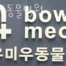 바우미우동물병원
