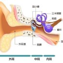 현기증이 있을 때는 가급적 안정을 취하는 것이 좋아? 이미지