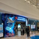 아쿠아리움 | 롯데월드 아쿠아리움 후기