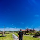 신창싱계물 이미지