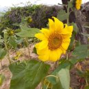 부흥 마을회관 이미지