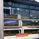 바다랑 | 포항 호미곶 대게 맛집 애견동반 가능한 바다랑대게 코스 후기
