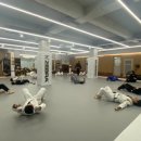 조남진 짐 이미지