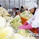 괴산마트영농조합법인 뉴스1