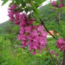 대천농장 이미지