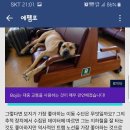 210146 이미지
