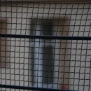 늘, 바라봄 이미지