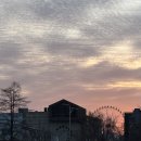 대종축산 이미지