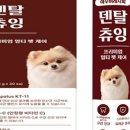 아우어펫 이미지