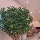 도담칼국수 이미지