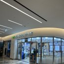 프라임안경 | 프라임안경 위드렌즈 서울코엑스점 코엑스컬러렌즈 봉은사역안경 렌즈추천